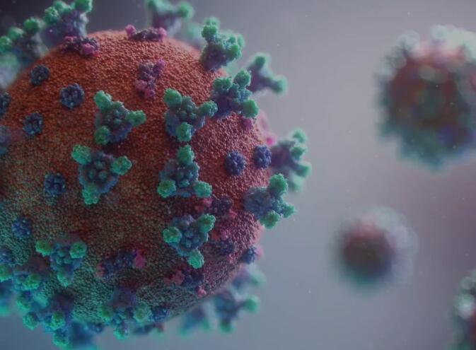 刚刚!梅奥诊所顶级专家向全世界发出警告:新冠将持续到下个世纪(图1) 36(799).jpg