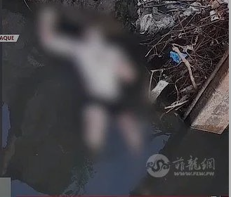 萨拉竞选花费2.16亿,自己未掏一分钱 | "菲中关系未来可期,期待打造共同繁荣"(图5) 51(268).png