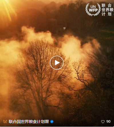 COP27丨气候危机已演变为饥饿危机(图1) 31(433).png