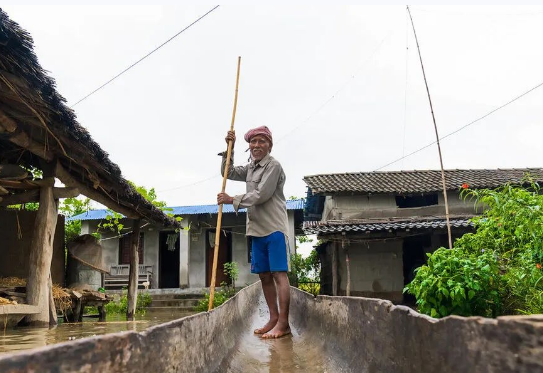 COP27丨气候危机已演变为饥饿危机(图2) 32(448).png