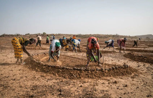 COP27丨气候危机已演变为饥饿危机(图3) 33(426).png