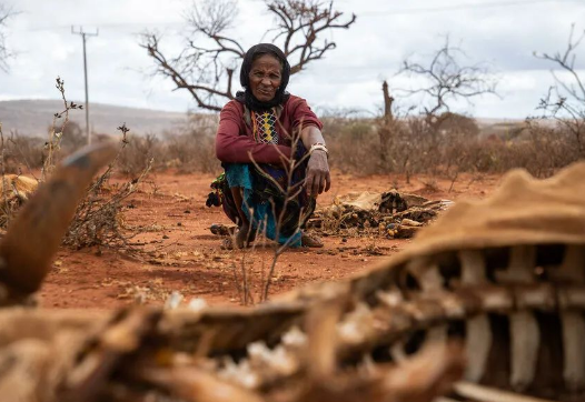 COP27丨气候危机已演变为饥饿危机(图5) 35(432).png