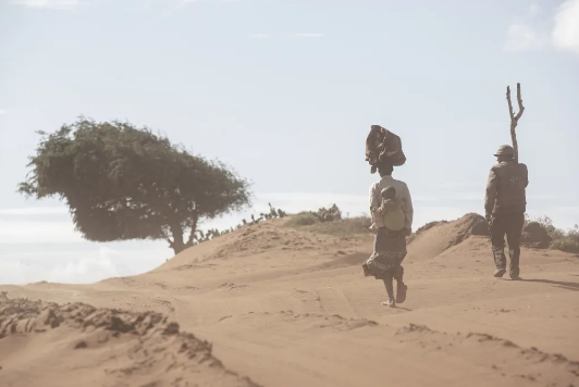 COP27丨气候危机已演变为饥饿危机(图6) 36(488).png