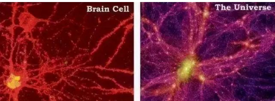 颠覆你的想象,宇宙竟然是个活人(图3) 颠覆你的想象,宇宙竟然是个活人(图3)