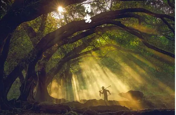 读懂十二时辰,就懂了我们的一生(图14) 24.png