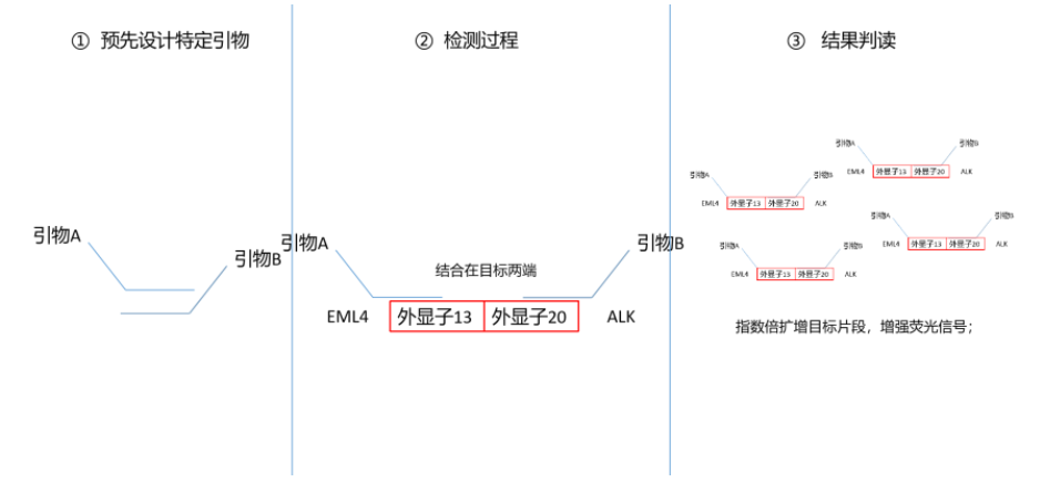 核酸造假?这个瓜你真的吃明白了吗?(图3) 3.png