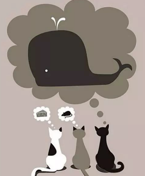 科学也不是万能的百科全书,这十个问题至今无法解释,难倒科学家(图2) 21.png