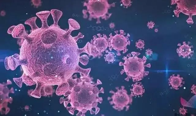 免疫系统敌我不分?感染新冠后,人体为何会发高烧(图10) 50.jpg