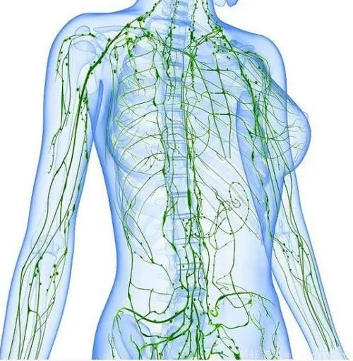 免疫系统敌我不分?感染新冠后,人体为何会发高烧(图15) 55.jpg