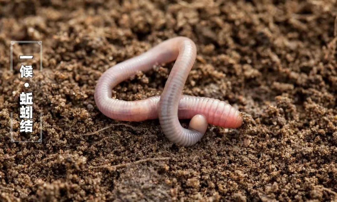 冬至 | 数九寒冬,火力全开(图4) 23.jpg