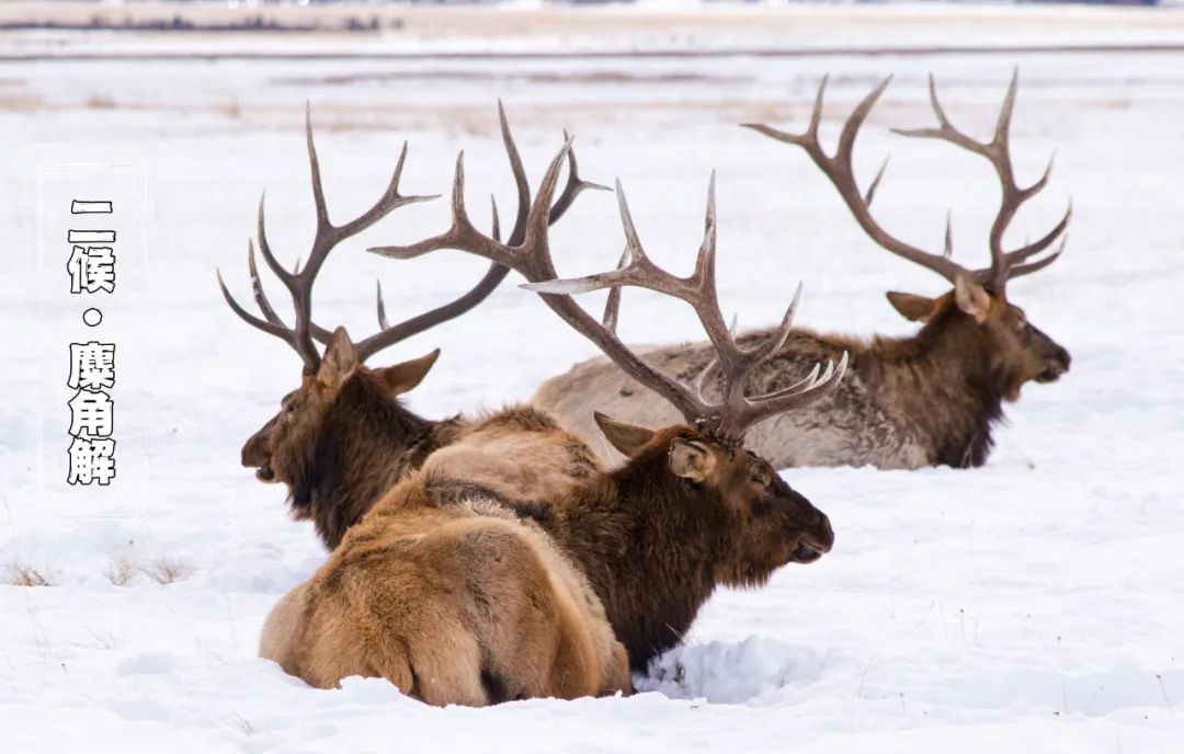 冬至 | 数九寒冬,火力全开(图5) 24.jpg