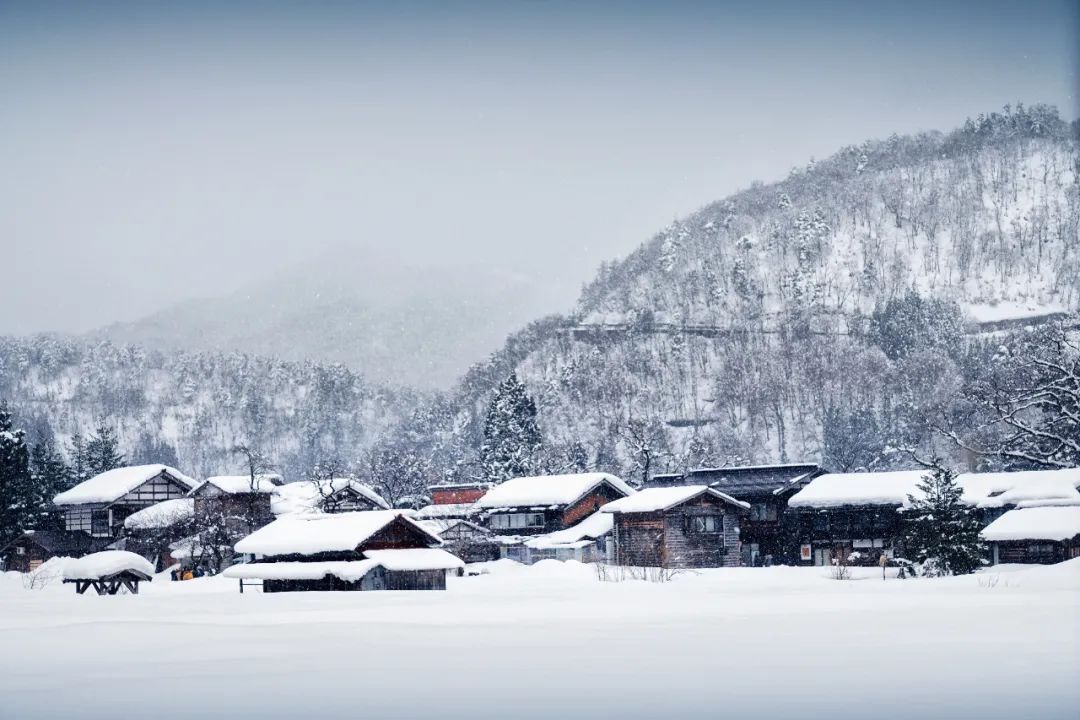 冬至 | 数九寒冬,火力全开(图10) 29.jpg