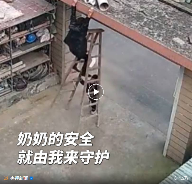 奶奶双脚腾空,4岁的他把梯子扶起来了!(图1) 028.png