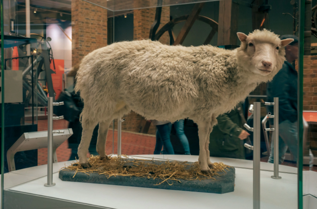 无限分裂超出5000万吨,已故黑人妇女癌细胞,如今已分布世界各地(图5) 40.png