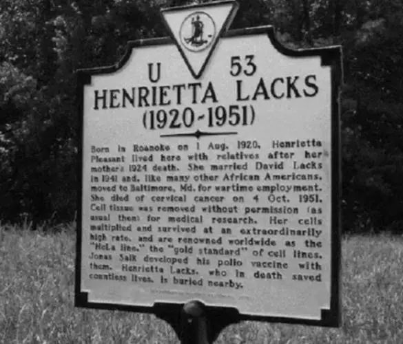 无限分裂超出5000万吨,已故黑人妇女癌细胞,如今已分布世界各地(图8) 43.jpg