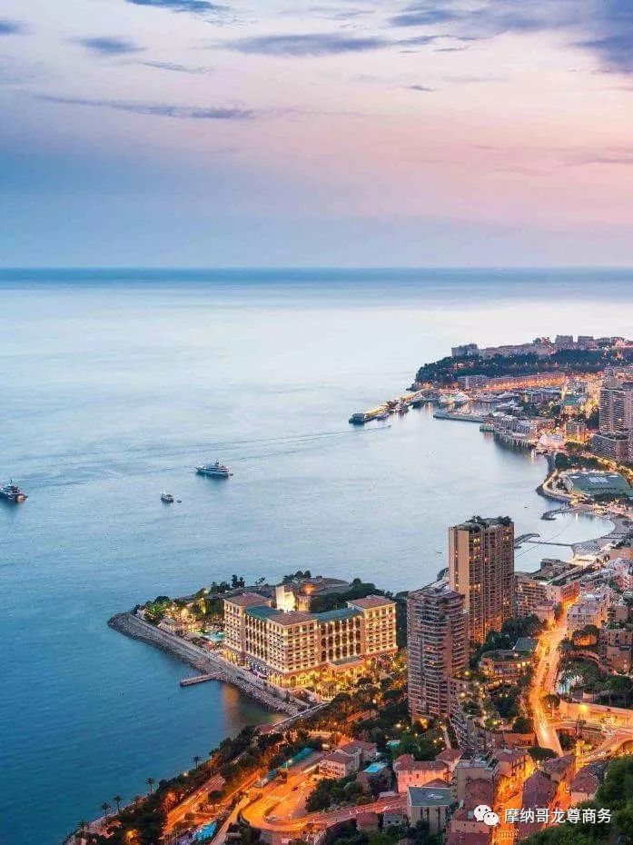 摩纳哥兔年春节晚宴(图1) 48.jpg