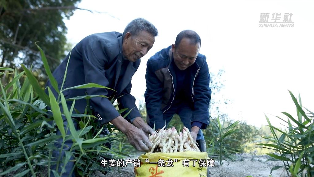 新华全媒+|从中央农村工作会议看2023年“三农”工作这么干(图3) 新华全媒+|从中央农村工作会议看2023年“三农”工作这么干(图3)