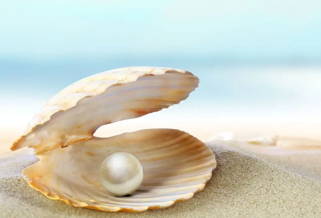 我国最特殊的三棵树:1棵投保1亿,1棵配警卫,1棵是地球独子(图1) 37.png