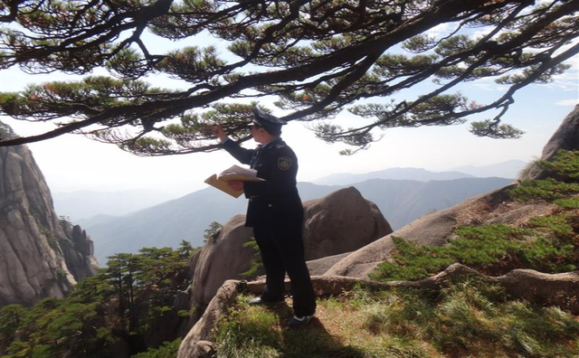 我国最特殊的三棵树:1棵投保1亿,1棵配警卫,1棵是地球独子(图7) 43.png