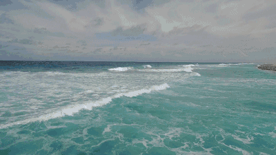 南极发现10亿吨磷虾,各国竞争相当激烈,中国或成最大受益者?(图1) 22.gif