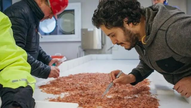 南极发现10亿吨磷虾,各国竞争相当激烈,中国或成最大受益者?(图15) 36.jpg