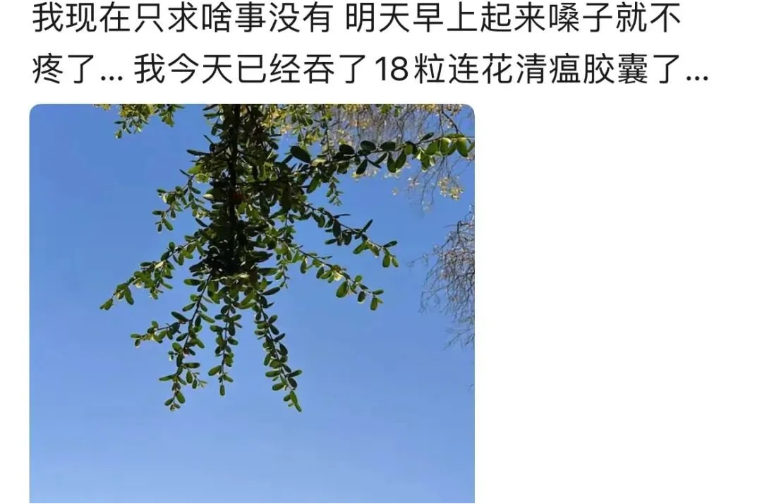 XBB登陆杭州上海:二次感染症状有多重?这3位亲历者说出了自己的感受…(图6) 31.png