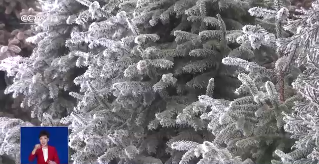 春节假期过半客流回升 寒潮下迎春运返程高峰(图3) 春节假期过半客流回升 寒潮下迎春运返程高峰(图3)