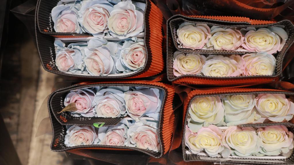 元首外交丨当“拉美味道”遇上“中国机遇”——中拉命运共同体之船扬帆远航(图5) 元首外交丨当“拉美味道”遇上“中国机遇”——中拉命运共同体之船扬帆远航(图5)