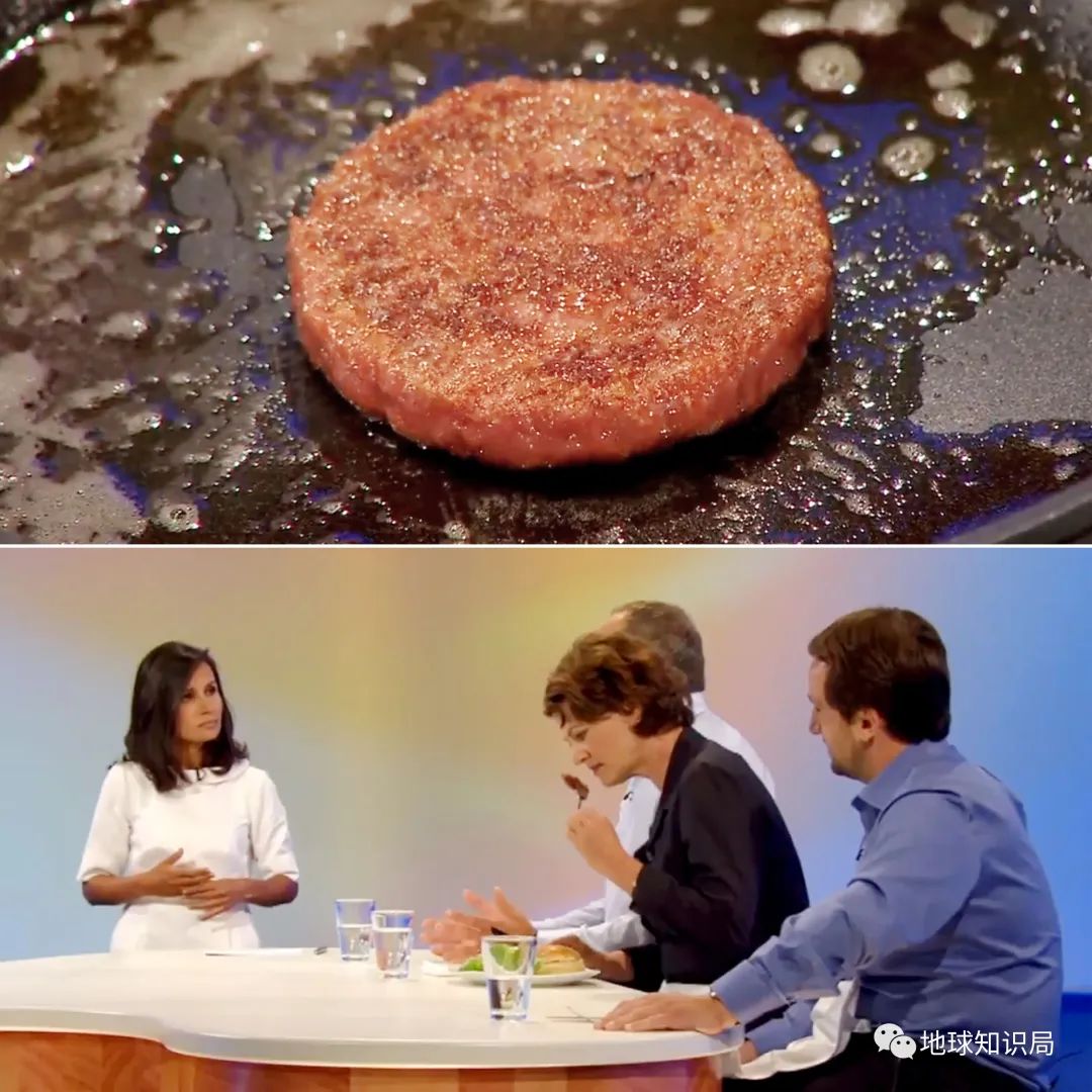 人造肉越来越多,你可能已经无意中吃过了(图3) 35.jpg