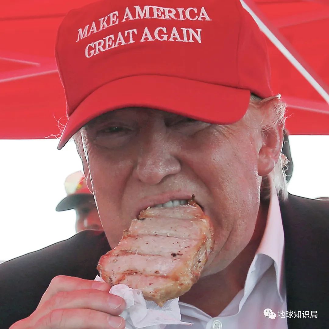 人造肉越来越多,你可能已经无意中吃过了(图8) 40.jpg