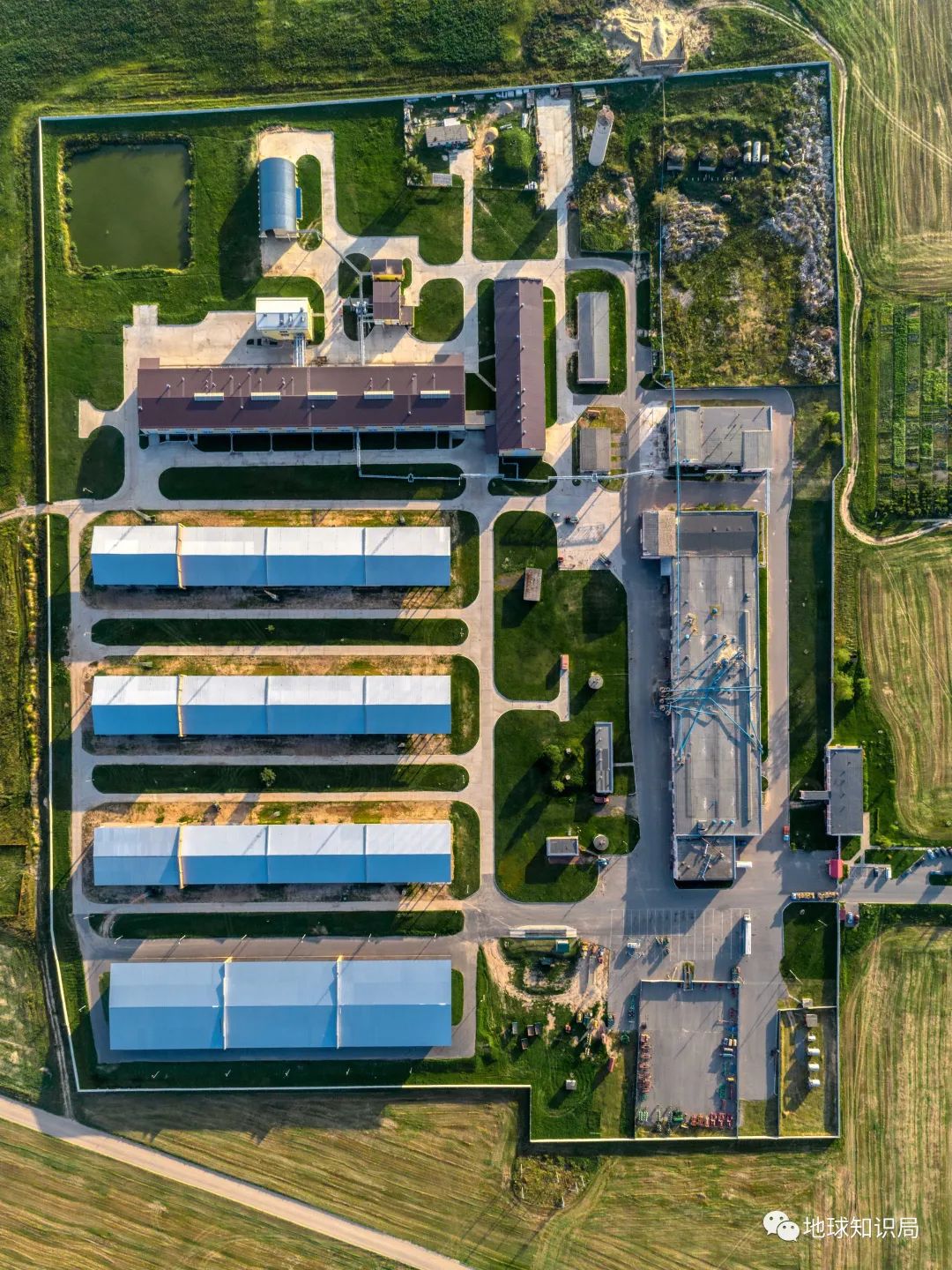 人造肉越来越多,你可能已经无意中吃过了(图12) 44.jpg