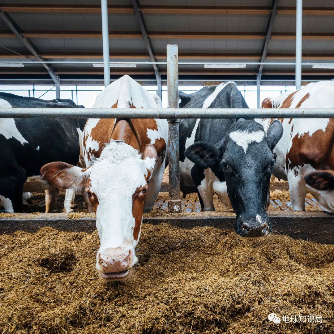 人造肉越来越多,你可能已经无意中吃过了(图13) 45.jpg