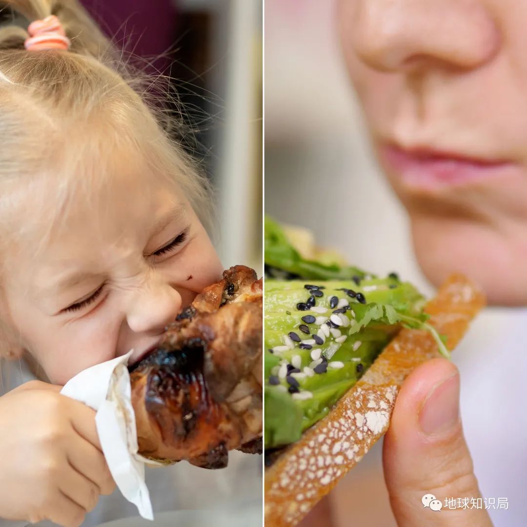 人造肉越来越多,你可能已经无意中吃过了(图16) 48.jpg