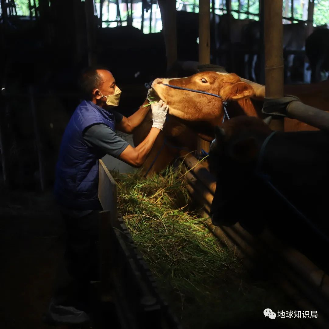 人造肉越来越多,你可能已经无意中吃过了(图17) 49.jpg