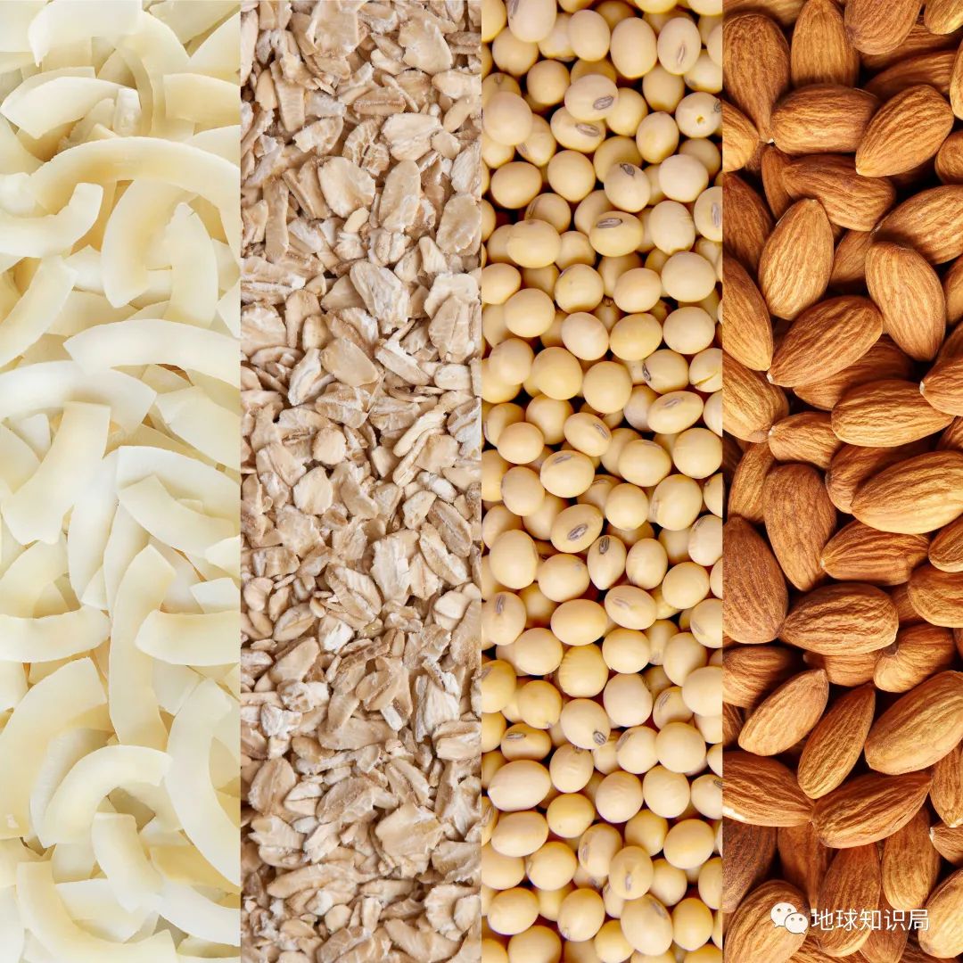 人造肉越来越多,你可能已经无意中吃过了(图20) 52.jpg