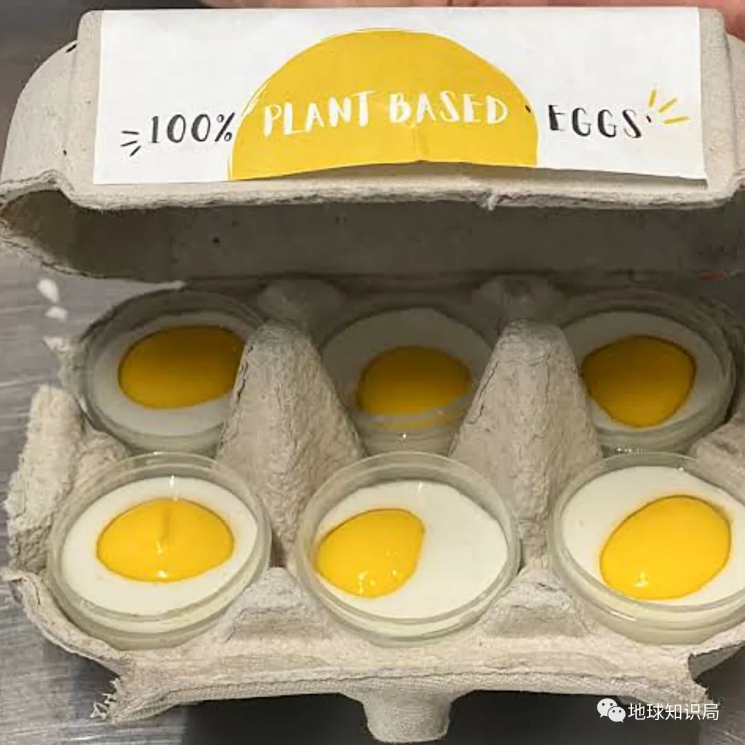 人造肉越来越多,你可能已经无意中吃过了(图21) 53.jpg