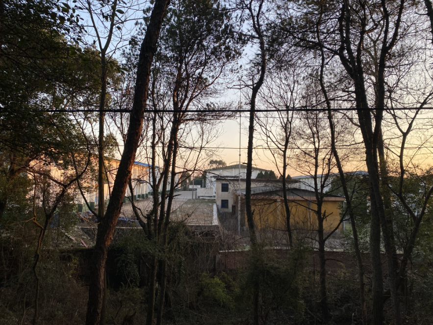 为何在仓库却找不到?为何写成树林?胡鑫宇事件最新进展(图2) 34.png