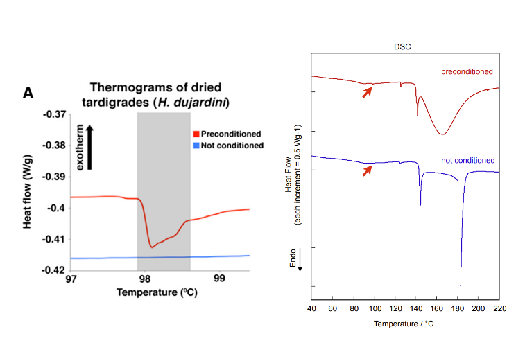 为何三体人脱水后还能复活?生物学上可能吗?(图6) 30.png