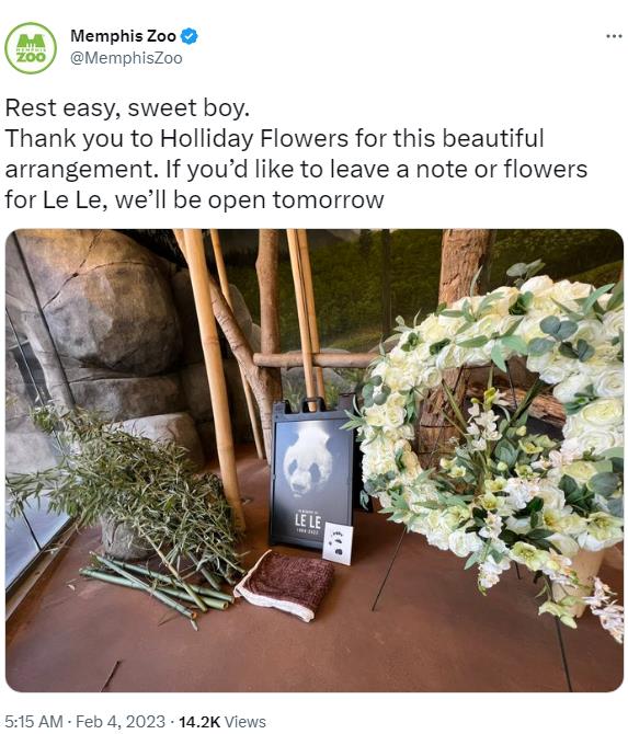 旅美大熊猫“乐乐”离世终年25岁 网友:心都碎了(图2) 旅美大熊猫“乐乐”离世终年25岁 网友:心都碎了(图2)