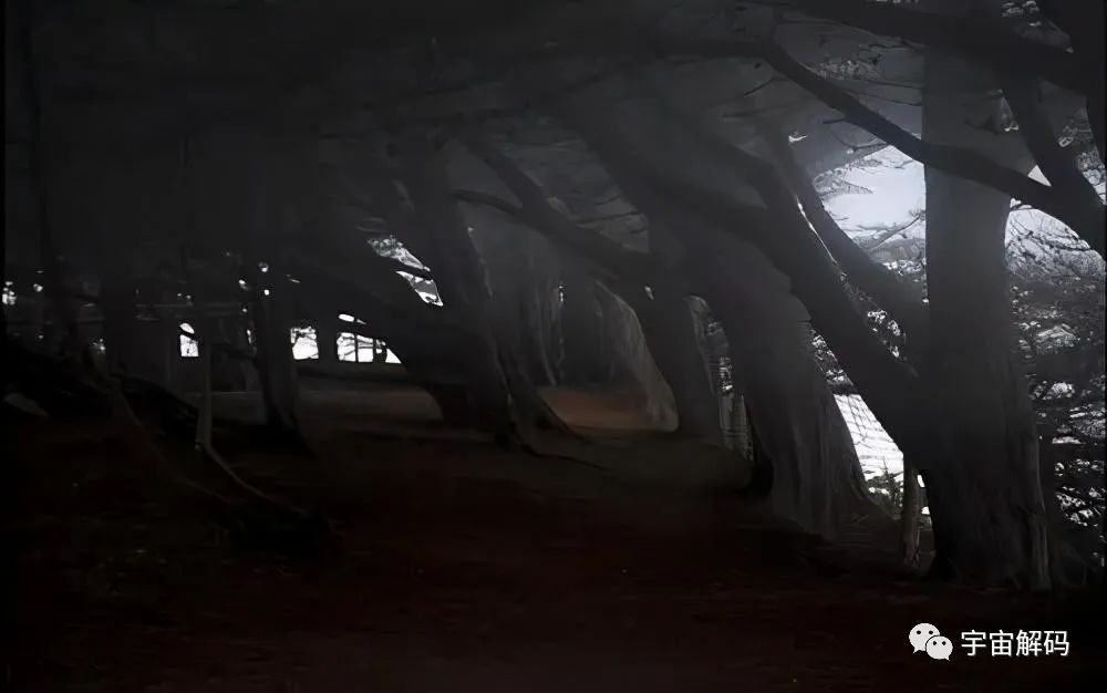 为什么发现了UFO,外星人却没出现?让人细思极恐的猜想(图4) 23.jpg