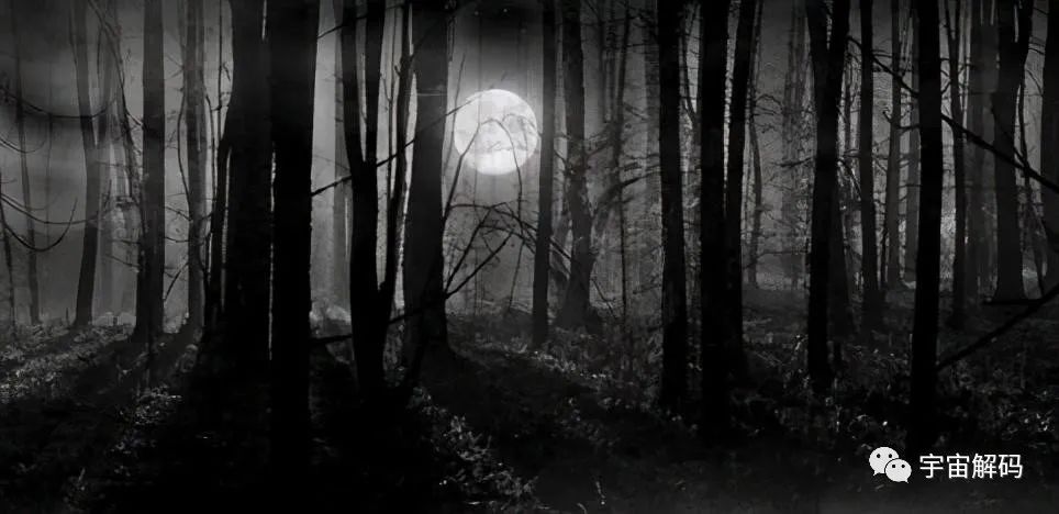 为什么发现了UFO,外星人却没出现?让人细思极恐的猜想(图5) 24.jpg