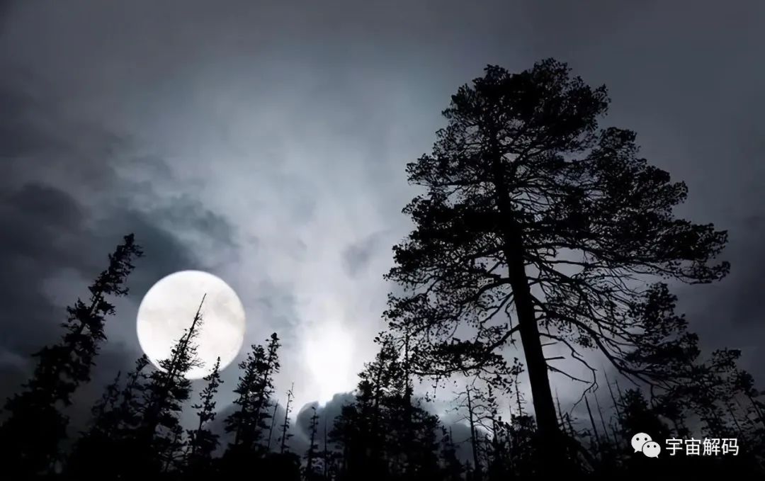 为什么发现了UFO,外星人却没出现?让人细思极恐的猜想(图6) 25.jpg