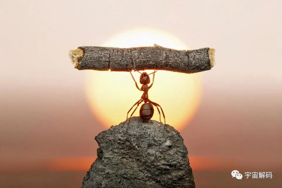 为什么发现了UFO,外星人却没出现?让人细思极恐的猜想(图9) 28.jpg