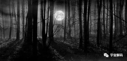 为什么发现了UFO,外星人却没出现?让人细思极恐的猜想(图14) 33.jpg