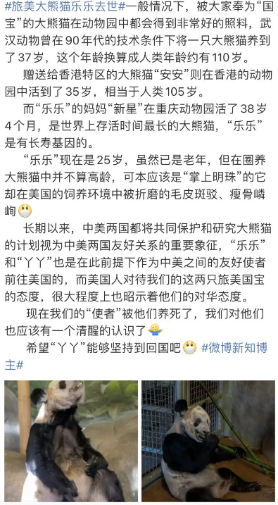 中国大熊猫离奇客死美国死因成谜,动物园曾被指虐待!网友:看看新加坡是怎么宠熊猫的!(图4) 42.png
