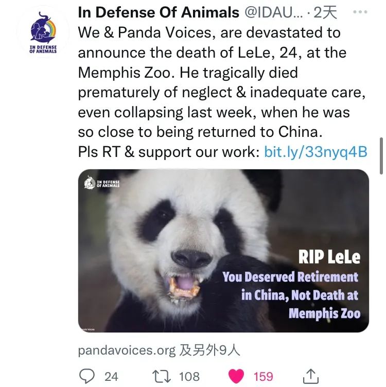 中国大熊猫离奇客死美国死因成谜,动物园曾被指虐待!网友:看看新加坡是怎么宠熊猫的!(图13) 51.jpg