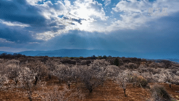 稳就业 把握春天里的机遇(图1) 稳就业 把握春天里的机遇(图1)