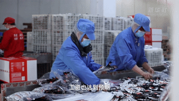 稳就业 把握春天里的机遇(图5) 稳就业 把握春天里的机遇(图5)