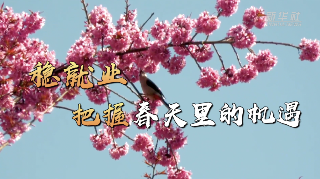 稳就业 把握春天里的机遇(图6) 稳就业 把握春天里的机遇(图6)