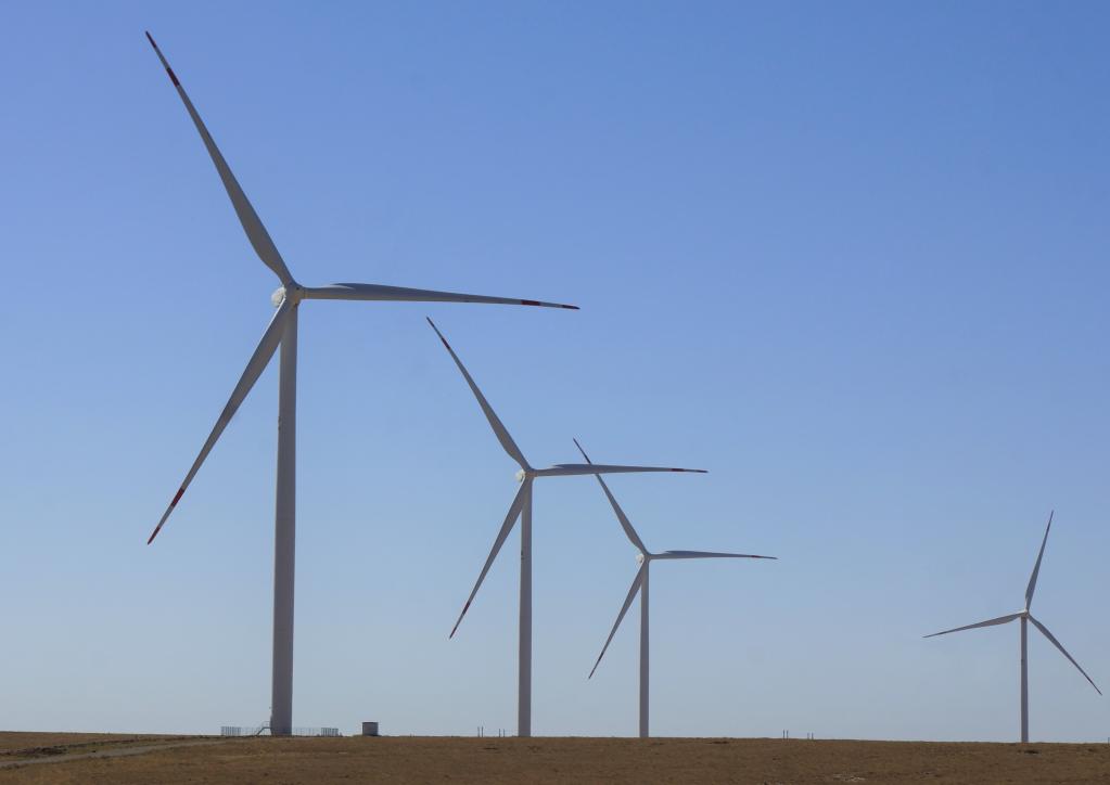 元首外交丨“中国的超级大市场就是我们的大海”(图1) 元首外交丨“中国的超级大市场就是我们的大海”(图1)